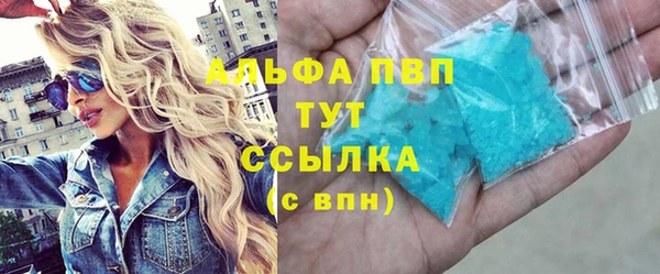 стафф Алзамай