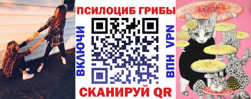 ссылка на мегу маркетплейс  Иннополис  Псилоцибиновые грибы Cubensis 